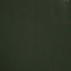 Meet your Posher, Dion