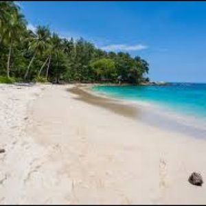 Meet your Posher, Patricia