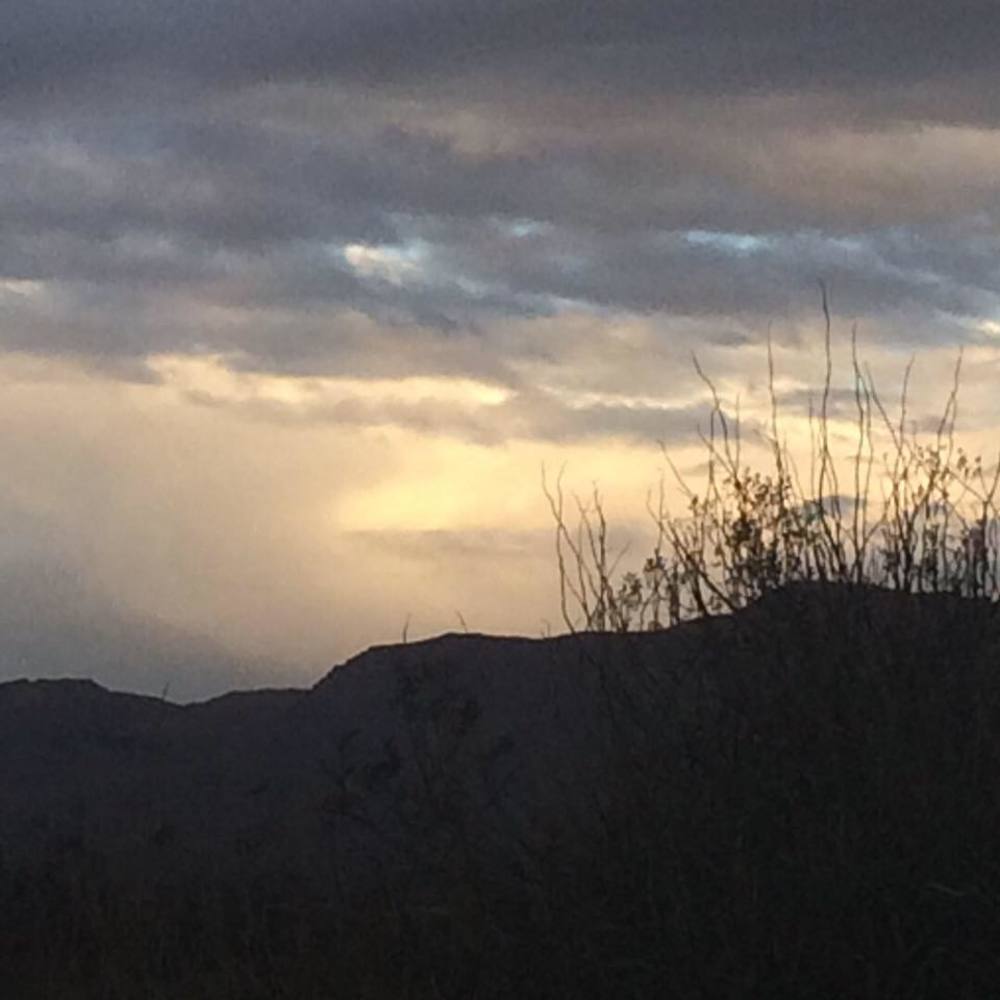 Meet your Posher, Tracy