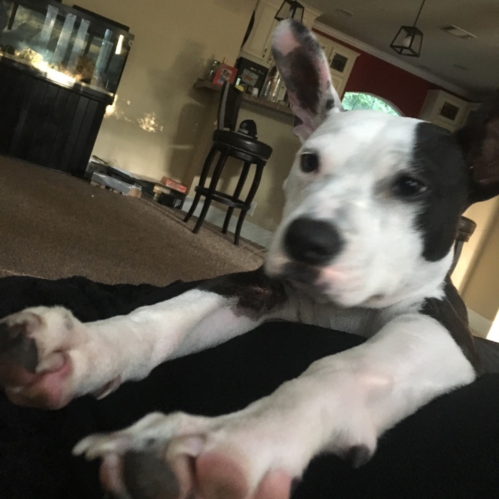 Meet your Posher, Sahra