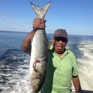 Meet your Posher, William