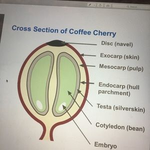 Meet your Posher, Ger