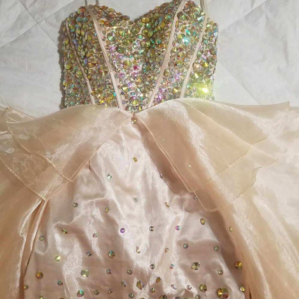 Mari Lee Prom Gown