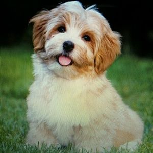 Meet your Posher, Jay