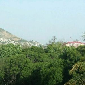 Meet your Posher, Joan