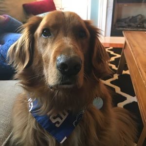 Meet your Posher, Kerry