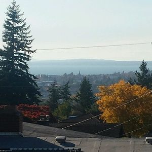 Meet your Posher, Saisha