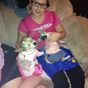 Meet your Posher, Dorothy