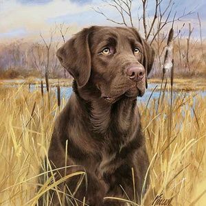 Meet your Posher, Jaidyn