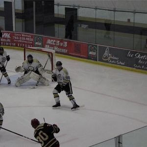 Meet your Posher, Gavin