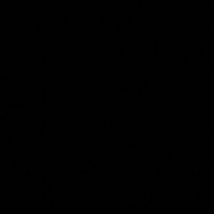 Meet your Posher, Mia