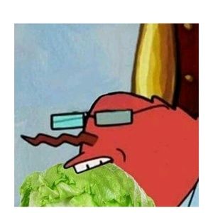 Meet your Posher, Jake