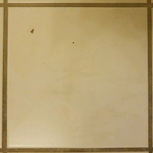 Meet your Posher, Amir