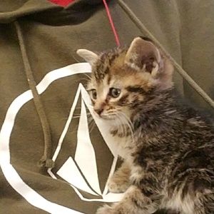 Meet your Posher, William