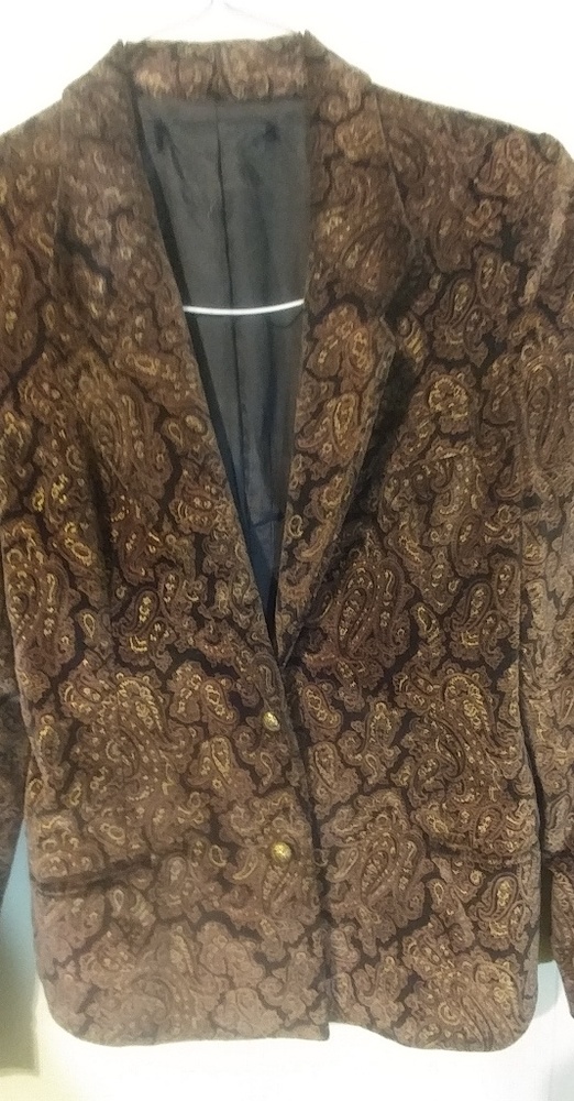 Vintage Paisely velvet jacket