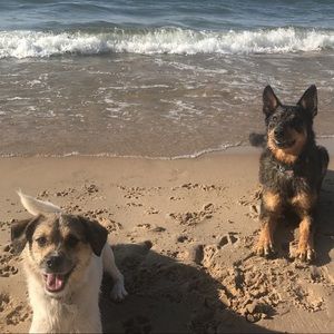 Meet your Posher, Josh