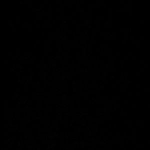 Meet your Posher, Raven