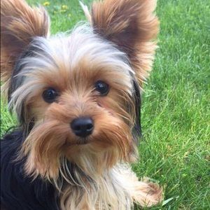 Meet your Posher, Juana