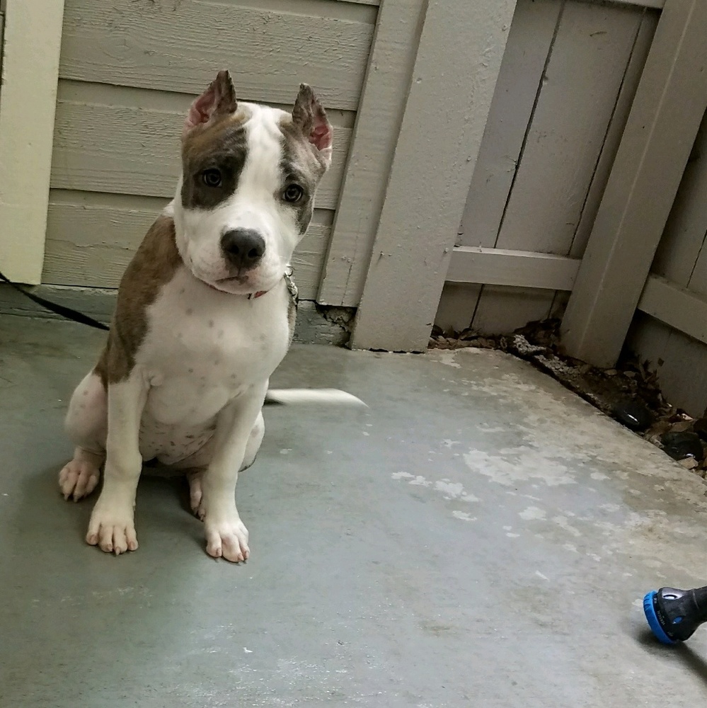 Meet your Posher, Phil