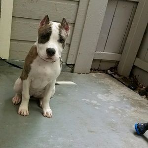 Meet your Posher, Phil