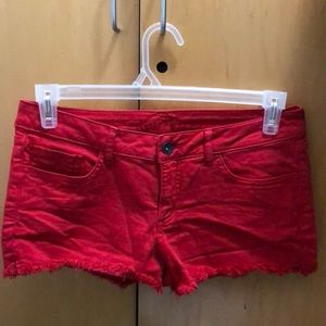Brand new Red Jean Shorts