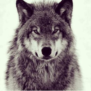 Meet your Posher, Jorge