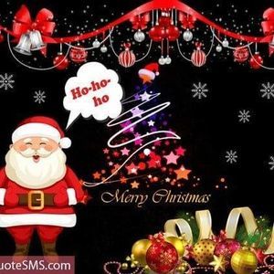 Meet your Posher, Bernadette