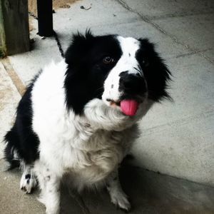 Meet your Posher, Nora j