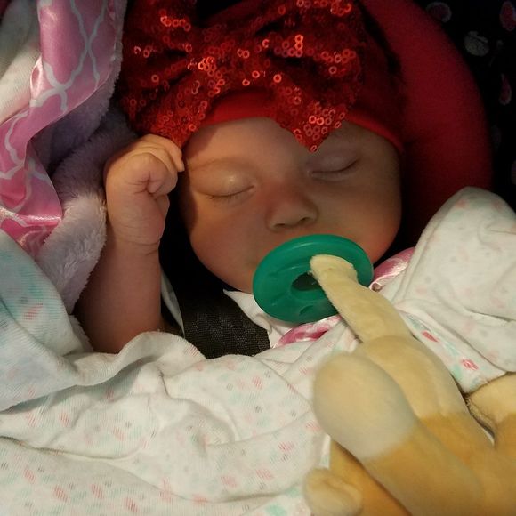 Meet your Posher, Daniel - Picture 1 of 1