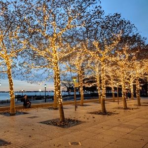 Meet your Posher, Shalom