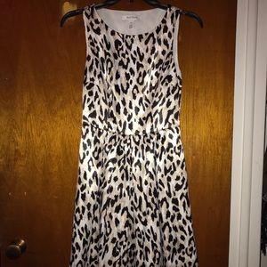 Leopard White House black market dress.