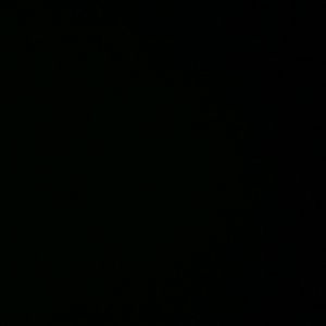 Meet your Posher, Savanha