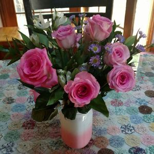 Meet your Posher, Terry