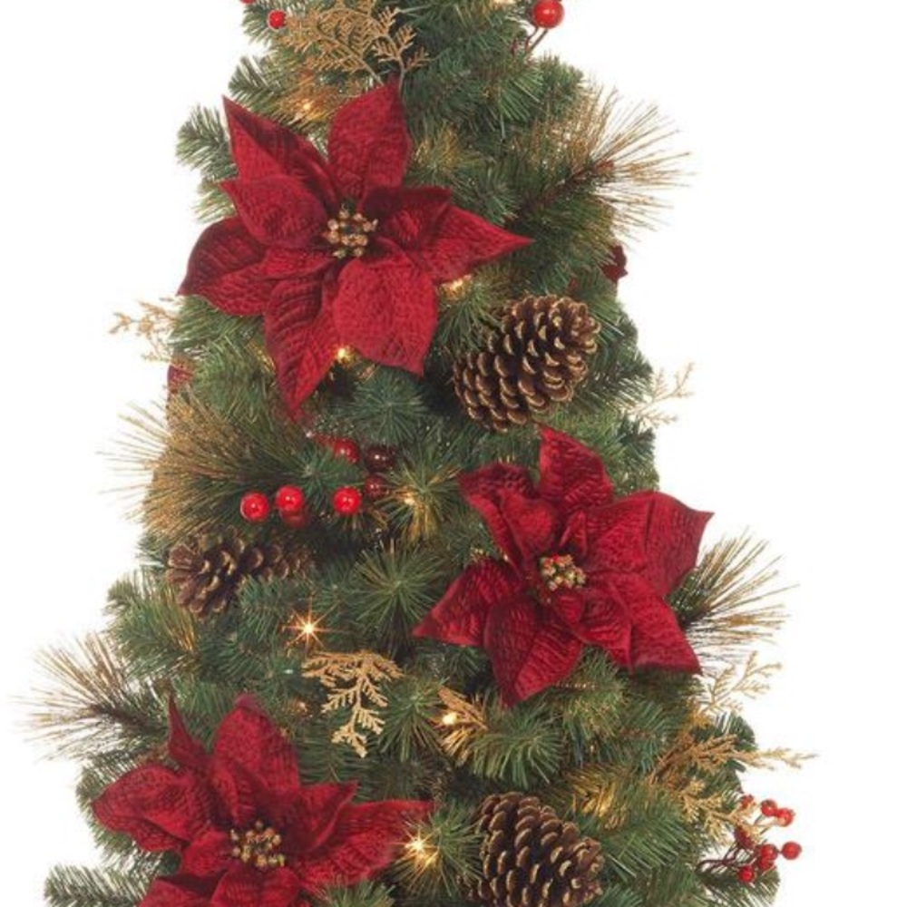 Meet your Posher, Ann