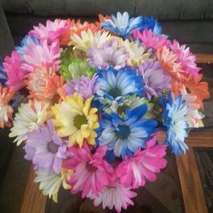 Meet your Posher, Maryanne