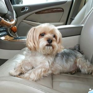 Meet your Posher, Bridget