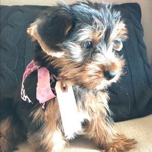 Meet your Posher, Colleen