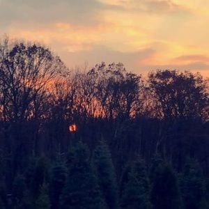 Meet your Posher, Rye