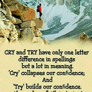 Meet your Posher, Bob