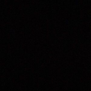 Meet your Posher, Daishaunia