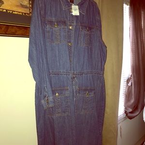 Brand New Long sleeve Denim dress