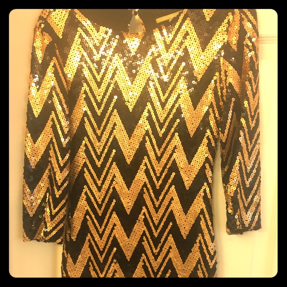 One of my favorite sequined stylish sexy dresses!