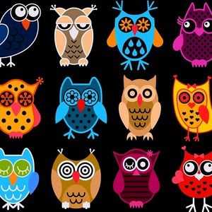 Meet your Posher, Noelia