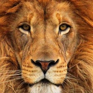 Meet your Posher, Arturo