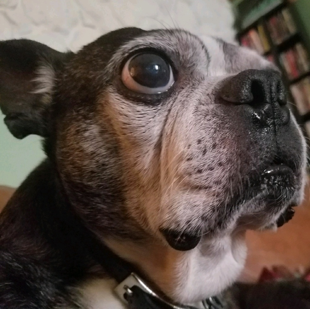 Meet your Posher, Katie