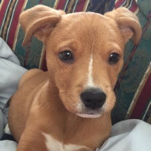 Meet your Posher, Erik