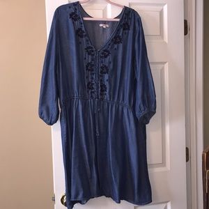 Chambray Embroidered Dress, 3X