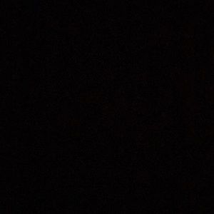 Meet your Posher, Precilla