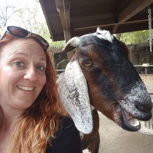 Meet your Posher, Shelly