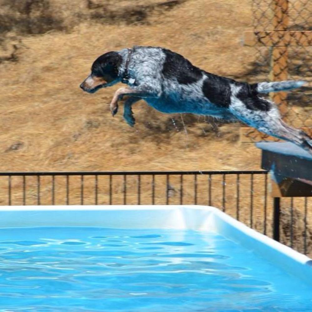 Meet your Posher, Sandi